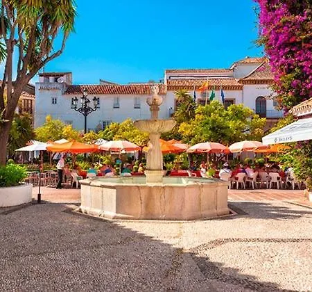 Olas House